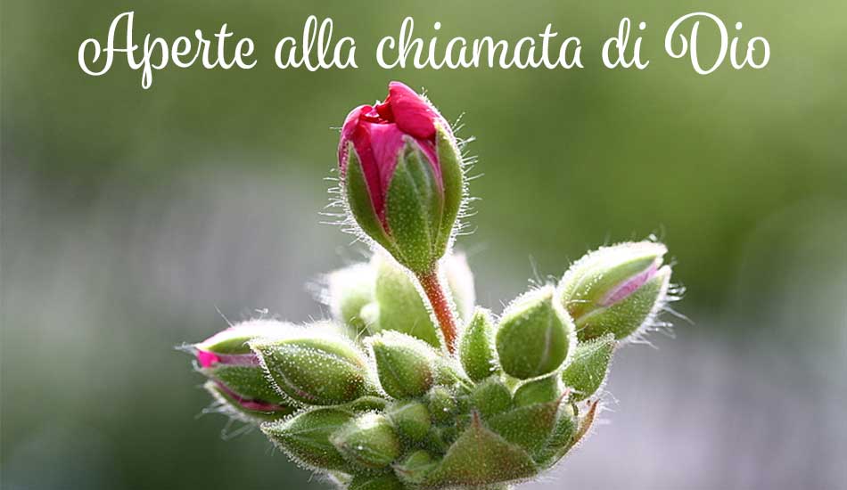 Primi passi di formazione